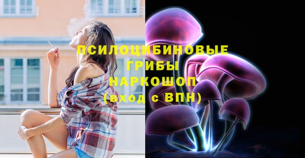 МДПВ Мурманск