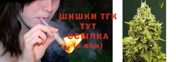 не бодяженный Ладушкин
