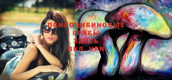 бошки Шарыпово