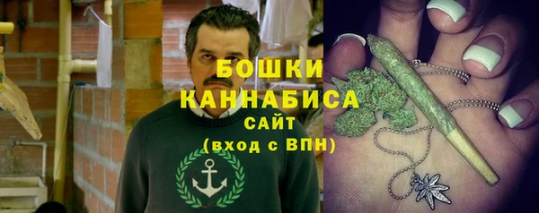 не бодяженный Ладушкин