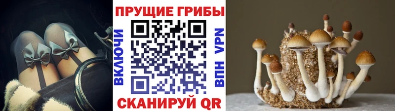 Галлюциногенные грибы GOLDEN TEACHER Устюжна